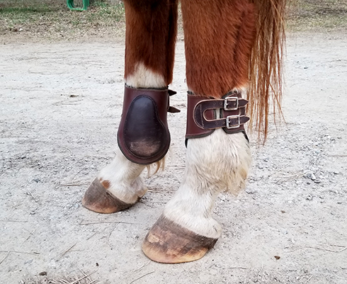 Fetlock boots
